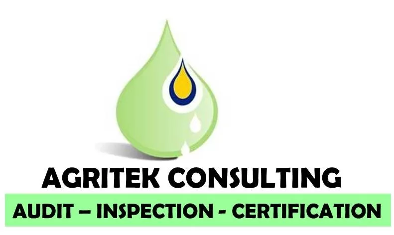 WhatsApp Image 2023-04-06 à 22.46.15